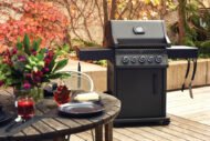Napoleon Phantom Rogue® PRO-S 425 Rsib - Image 4