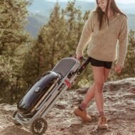 Weber Traveler Portable Gas BBQ Grill - Image 2